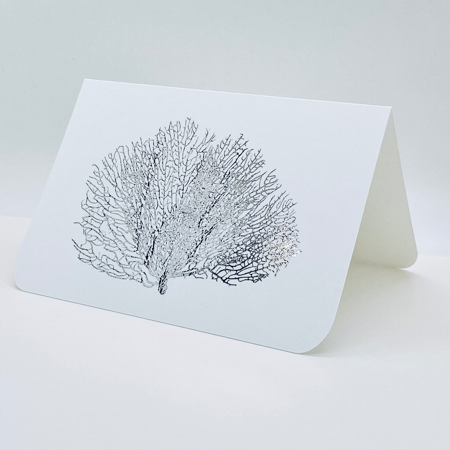Silver Foil Shell Note Cards