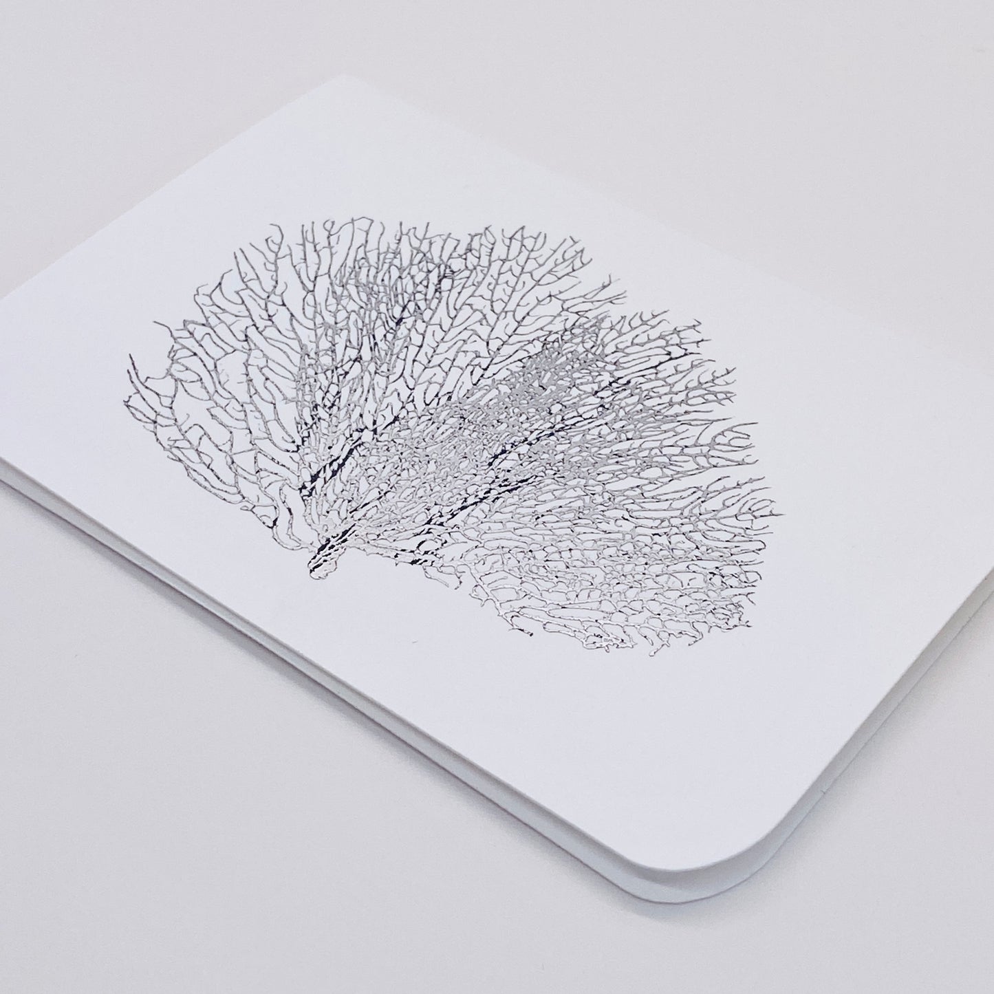 Silver Foil Shell Note Cards