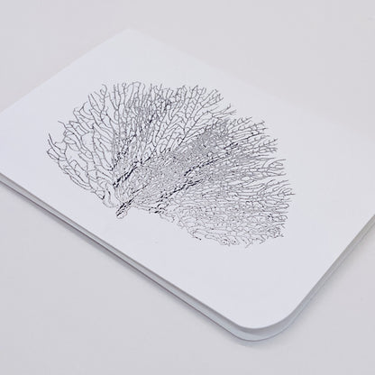 Silver Foil Shell Note Cards