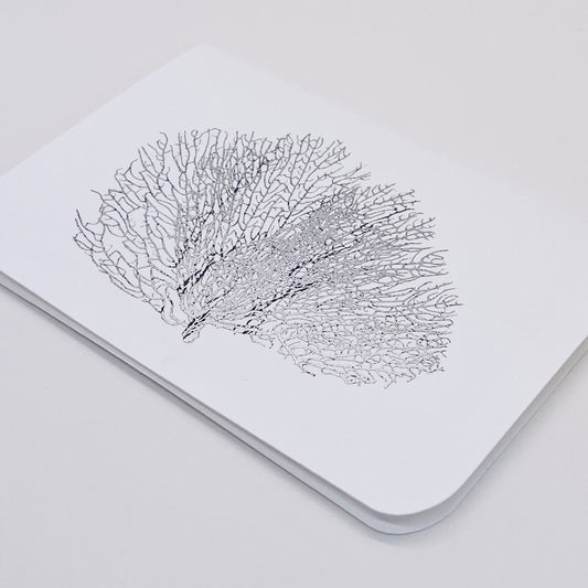 Silver Foil Shell Note Cards